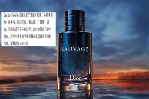 【妝同學上課6】渣男香水始祖是它！Dior「Sauvage曠野之心」5 